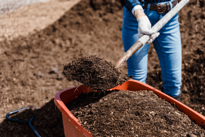 Pianifica il ritiro con l’App