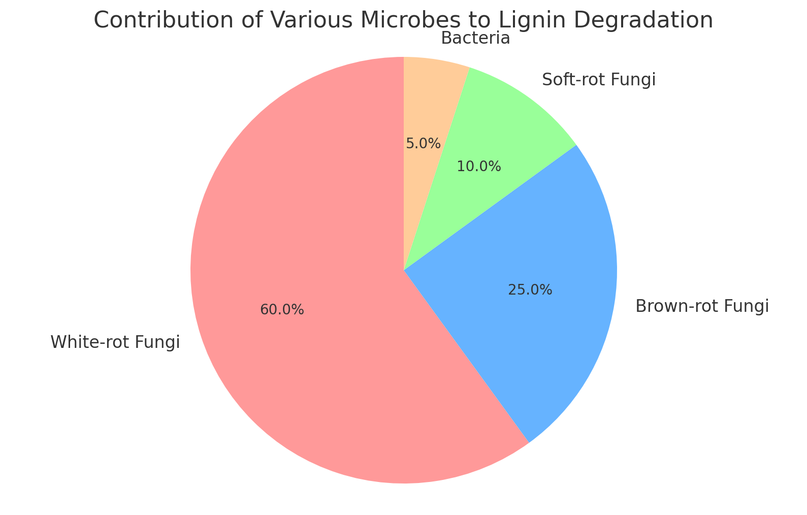 Contribution of Various Microbes to Lignin Degradation