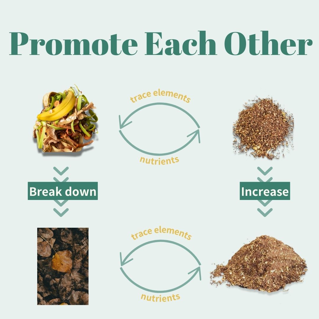 Promote Each Other