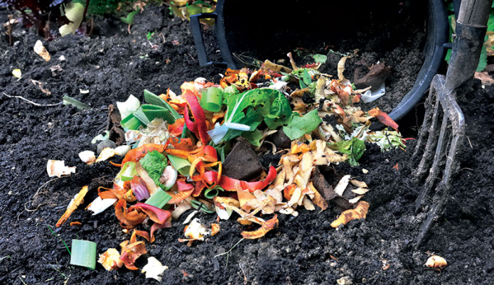 Food waste compost pile