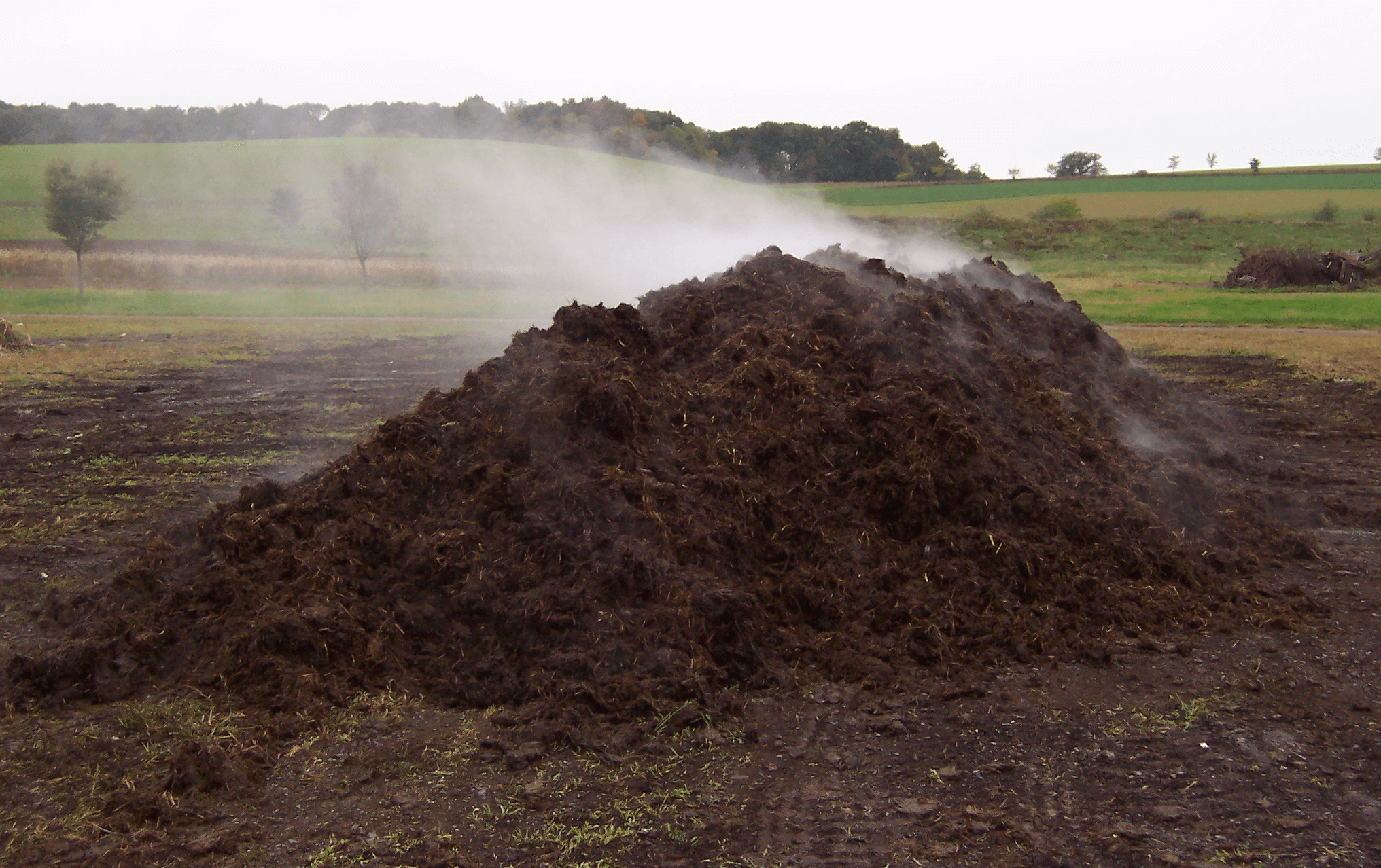 Traditional Compost Pile