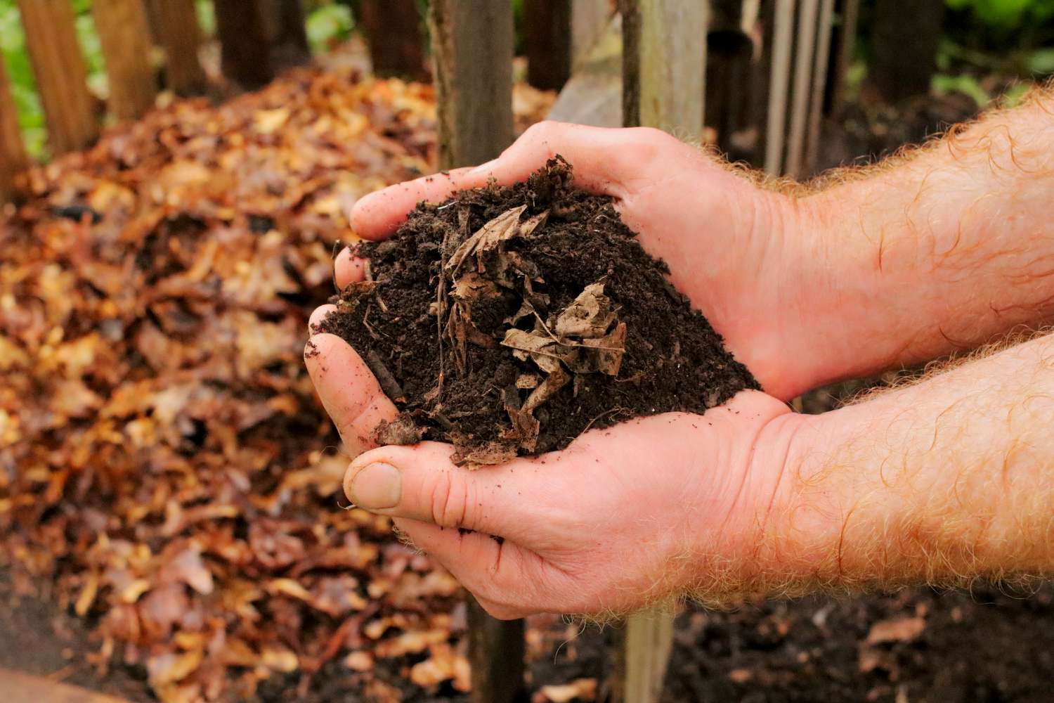 compost and mulching