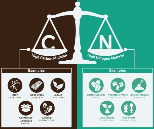 How to compost without rats