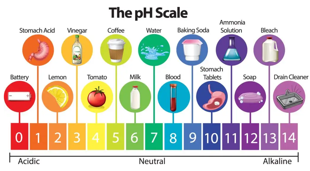 the hP Scale for soil