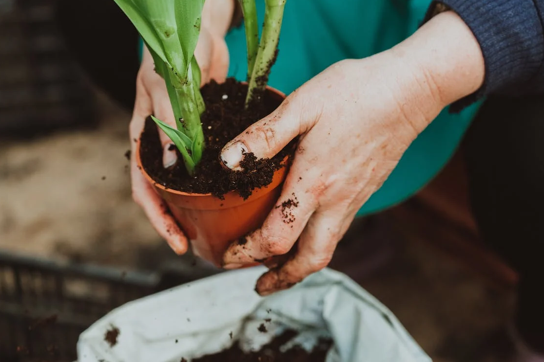 Food for fertilizer