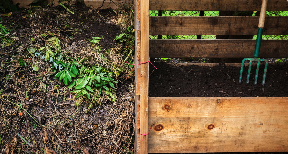 dark and crumbly compost