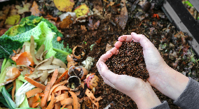 earthy smell compost